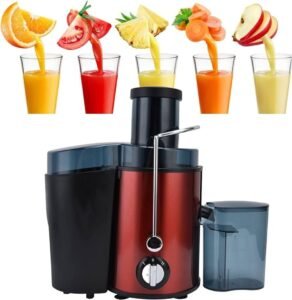 MAQUINA EXTRACTOR DE JUGOS SILVER LOVE