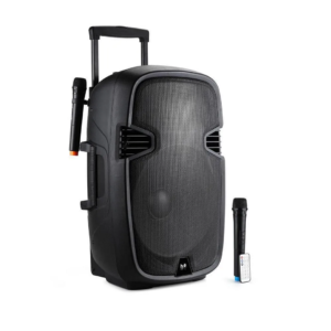 CABINA PARLANTE DE 15 PULGADAS RECARGABLE LUCES LED NX-Y115