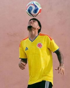 CAMISETA BORDADA  SELECCION COLOMBIA 1.1