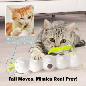 JUGUETE INTERACTIVO GATOS ALL FOR PAWS